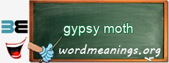 WordMeaning blackboard for gypsy moth